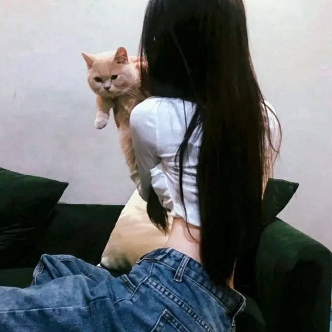 老虎队